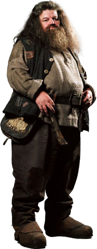 Hagrid character